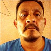 Profesor de Educación Primaria